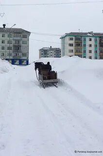 Новости воркуты воргашор