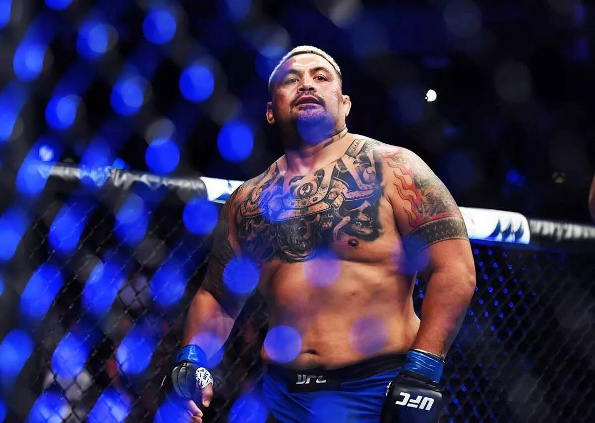 Hunters mark. UFC Mark Hunt.