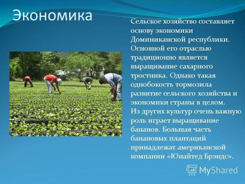 Его в хозяйстве составляющие. Характеристика мексики экономика. Сообщение о бельгии 3 класс. Его в хозяйстве составляющие. Характеристика хозяйства центральной россии.