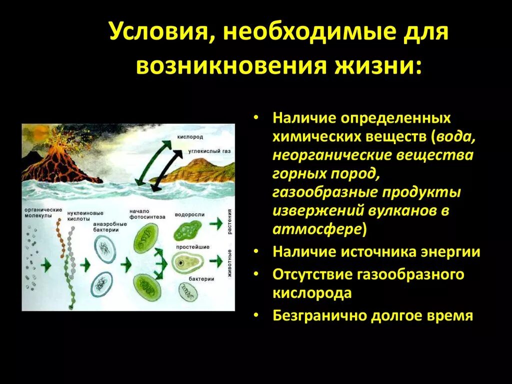 Развитие представление о происхождении жизни. Условия зарождения жизни на земле. Условия возникновения жизни. Условия необходимые для возникновения жизни на земле. Условия возникновения жизни надемле.