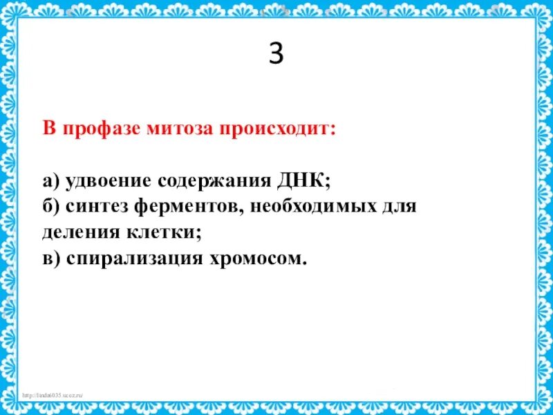 В профазе митоза происходит удвоение