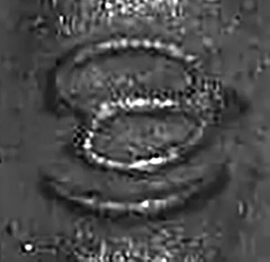 Зао дзержинский. Зао дзержинский