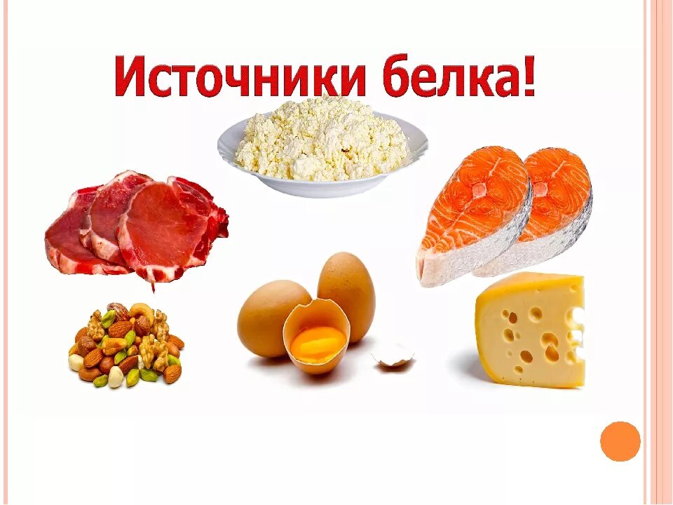 Белковая еда для детей. Белок в продуктах. Белки в продуктах питания. Белки витамины.