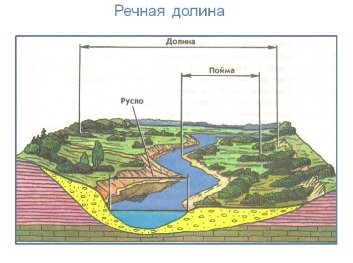 Сток на рельеф. Долина Пойма и русло реки. Строение Речной Долины (русло, Пойма, надпойменные террасы, Старица). Русло реки Пойма Речная Долина. Строение реки русло Пойма.