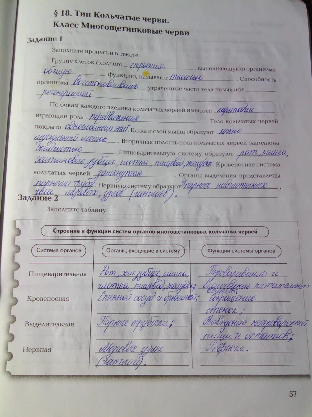 Домашнее задание по биологии. 9 класс. Тетрадь биология 5 класс плешаков сонин. Биология домашние задания. Рабочая тетрадь по биологии 6 класс пономарева.
