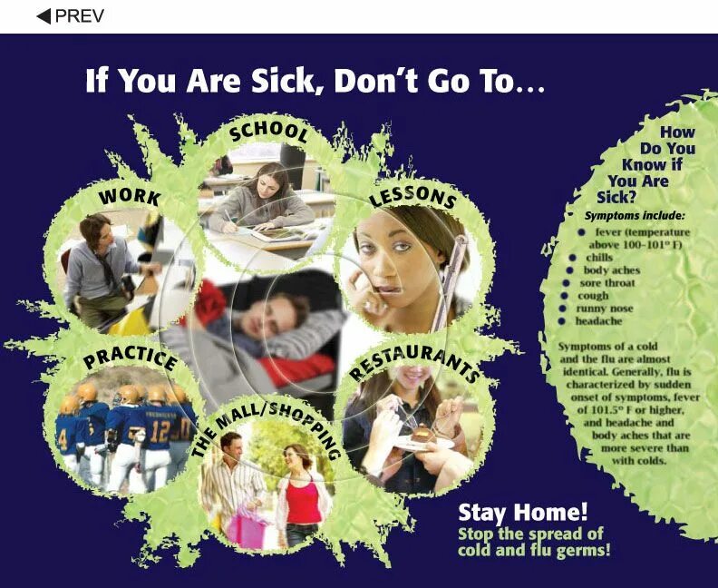 Pamphlet. Pamphlets in English. Stay at Home and don't get sick. Germs cough.