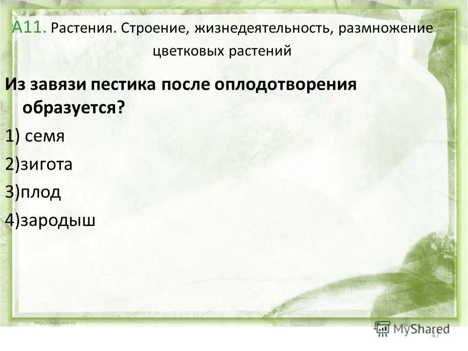 эпителиальная и соединительная ткань таблица. строение и жизнедеятельность тканей. какая наука изучает строение и жизнедеятельности тканей. строение и жизнедеятельность тканей. гистология.