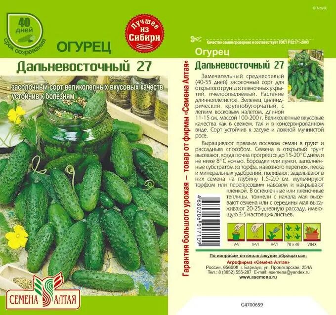 5 Лучших сортов огурцов для открытого грунта Просветленный Агроном Дзен