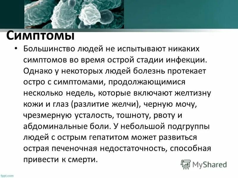 Самое распространенное инфекционное заболевание в мире. Наиболее распространённые заболевания. Самое распространенное инфекционное заболевание в мире. Структура смертности от болезней системы кровообращения. Наиболее распространенные заболевания.