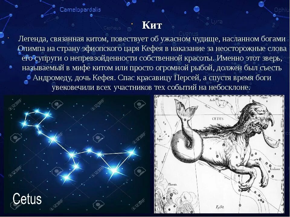 Открытее созвездий. Легенда о созвездии. Мифы и легенды о созвездиях. Легенды о созвездиях для детей. Созвездия с мифической историей.