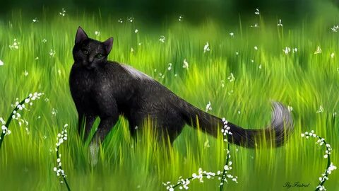 Коты воители травы