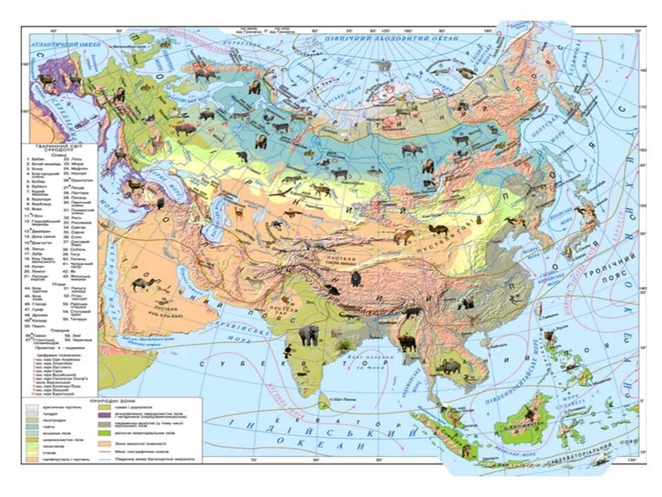 Природные зоны материка Евразия. Карта природных зон Евразии. Природные зоны евраззи. Растения природных зон Евразии. География природные зоны евразии