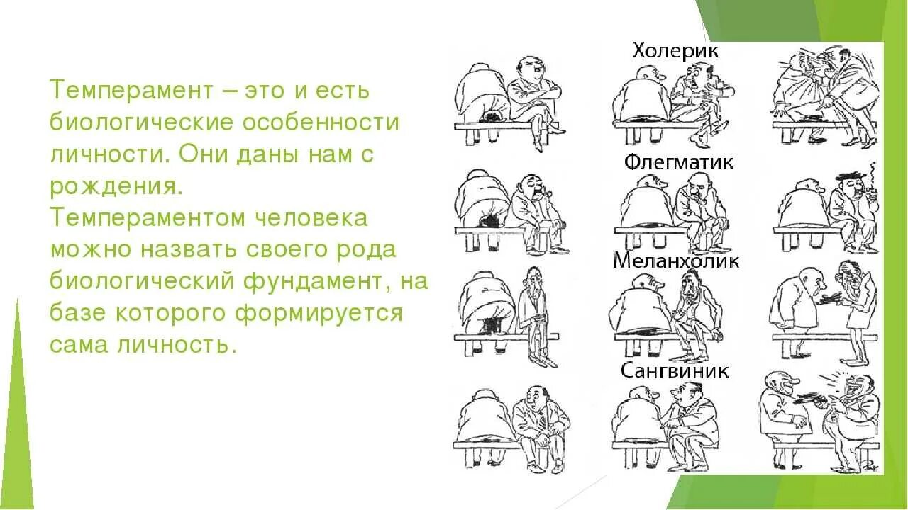 Редкие типы темперамента. Типы личности холерик сангвиник флегматик. типы характера сангвиник холерик флегматик. типы личности холерик сангвиник флегматик меланхолик. тип личности холерик флегматик.