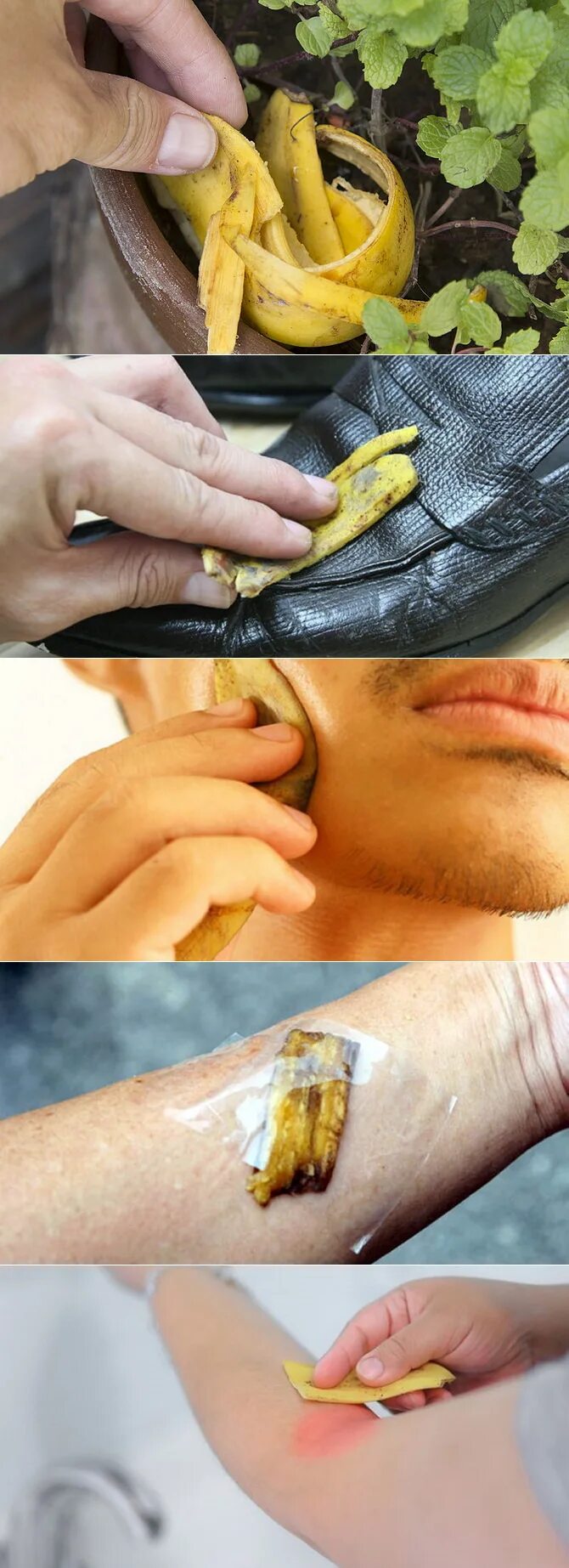 Кожура банана для лица. Банановая кожура. Банановая кожура для пяток. Счищать кожуру. Использование банановой кожуры.