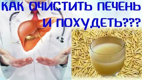 Почки печень овсом