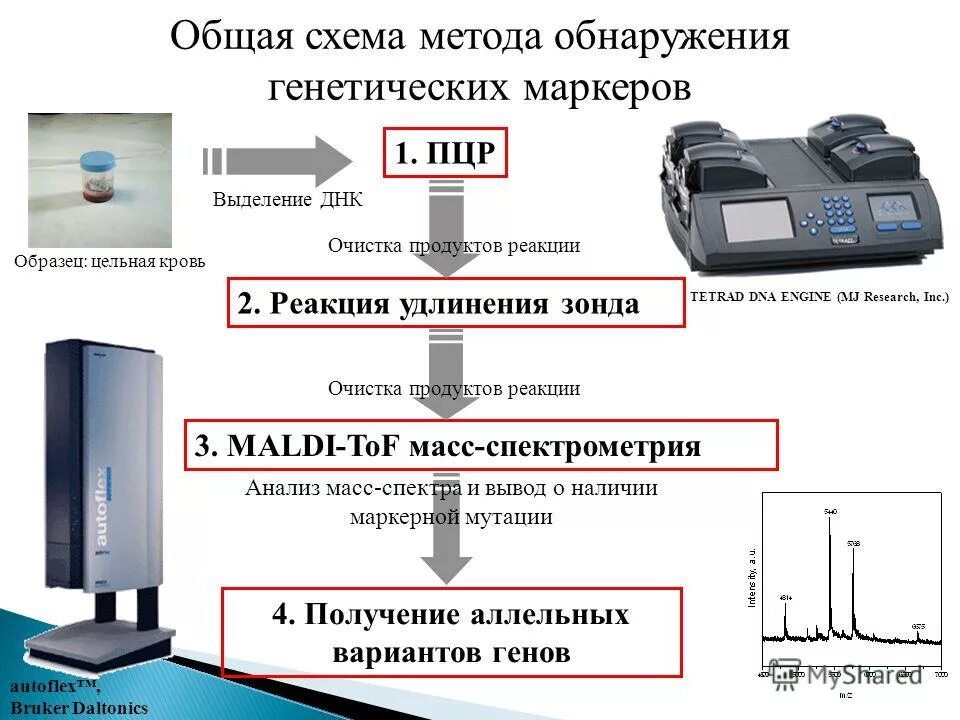 методы и средства защиты информации. рлд редут-500 бажк. багульник вибрационное средство обнаружения. средства обнаружения необходимы для. схема подключения охраны периметра.