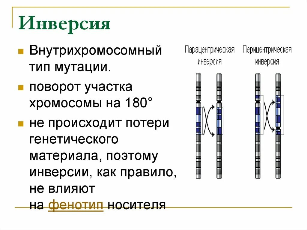 Типы инверсии