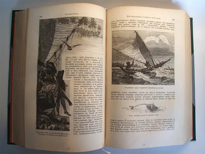 Книга естественные истории. Естественная история книга. Энциклопедия 1885 года. Автор труда естественная история.