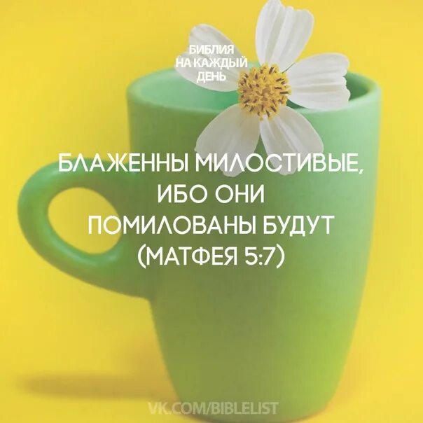Блаженны милостивые ибо они помилованы будут. Блаженны милостивые. Милостивые помилованы будут библия. Блаженны милостивые. Блаженны ибо помилованы будут.