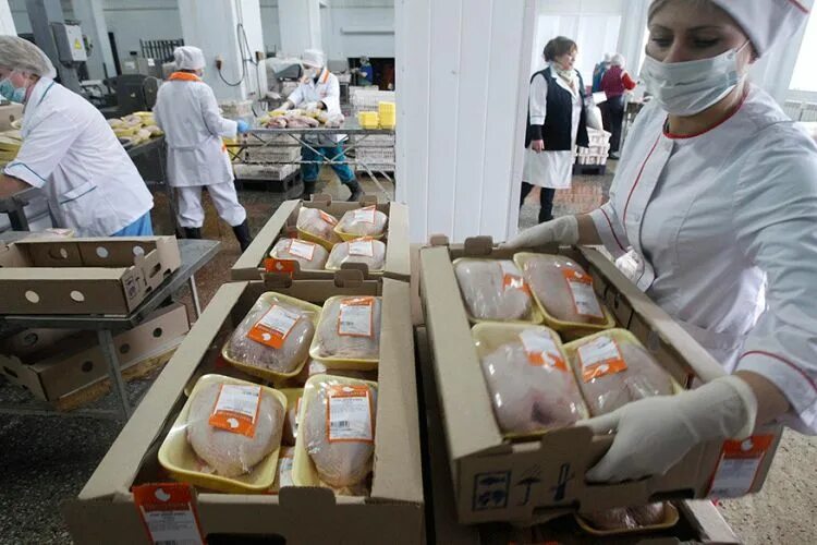 Птицефабрика упаковка. Куриный цех. Упаковщик мяса птицы. Птицефабрика упаковка. Птицефабрика упаковка.