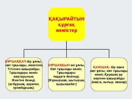Вероника Царицыноның барлық порно видеолары