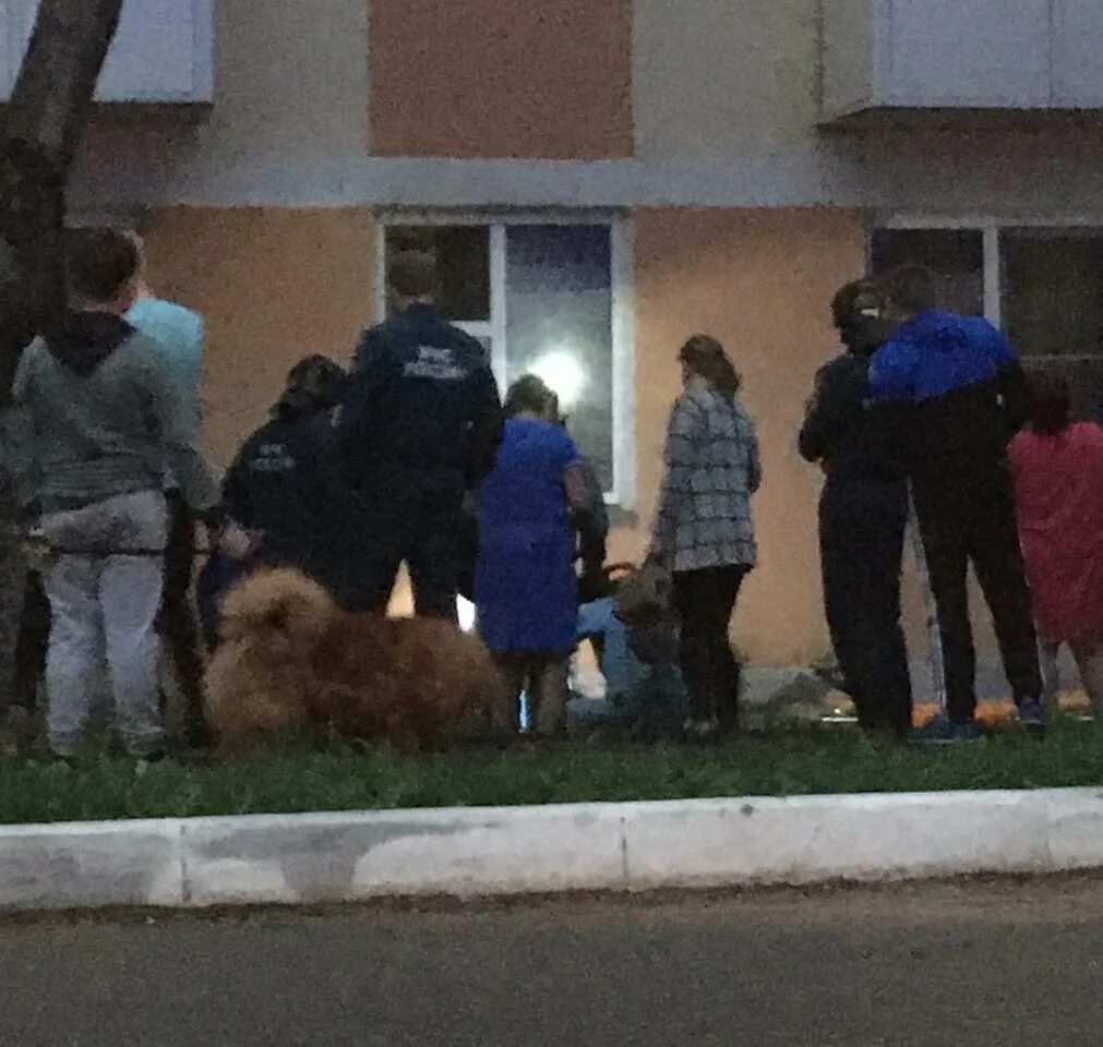 Саранск из окна девочка. Девочка выпала из окна. девушка выпавшая из окна. саранск девочка выпала из окна. в саранске девушка выпала.
