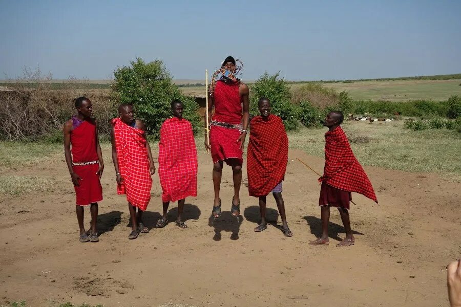 Метод масаи для роста как делать. Деревня масаи. кения деревня. african tourists. village the visitors.