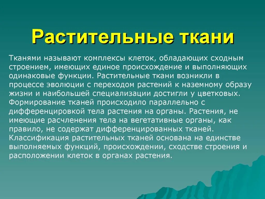 Сходные по строению функциям и происхождению. Что называют тканью. Появление дифференцированных тканей. Единое происхождение. Дифференцированные ткани когда появились.