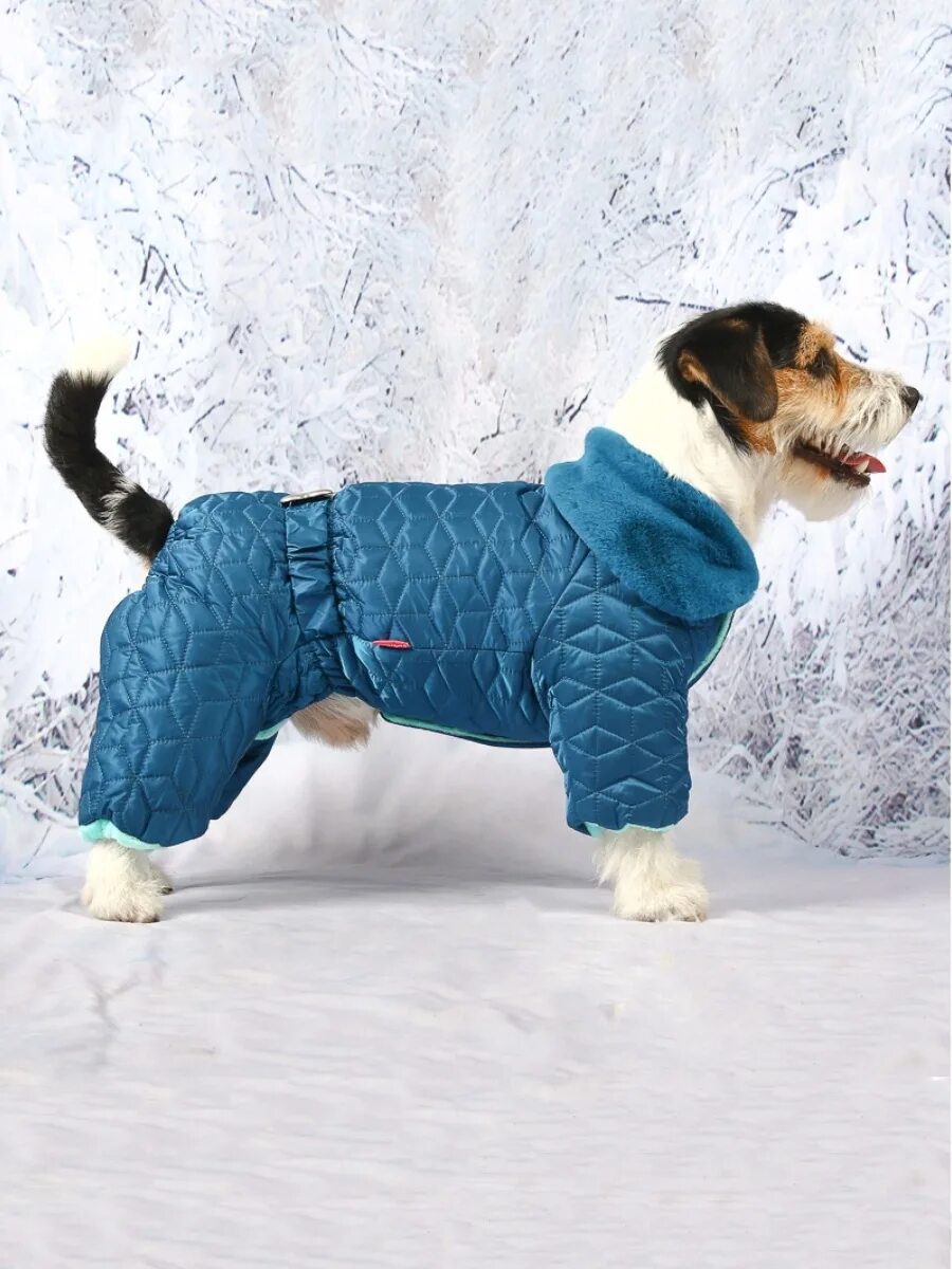 Комбинезон для собаки мальчик. For my dogs комбинезон для собак зеленый мальчик 8 fw89-2012m. Dogmoda комбинезон для собак. Костюмы для йорков мальчиков. Комбинезон для собак мелких пород.