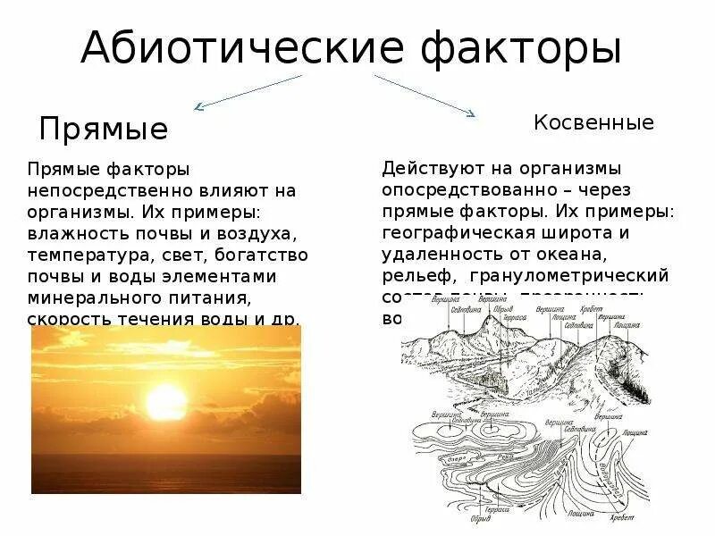 Примером абиотического фактора является ответы. Абиотический фактор – это:абиотический фактор – это. Абиотические факторы окружающей среды. Абиотические факторы среды схема. Абиотический фактор это в экологии.