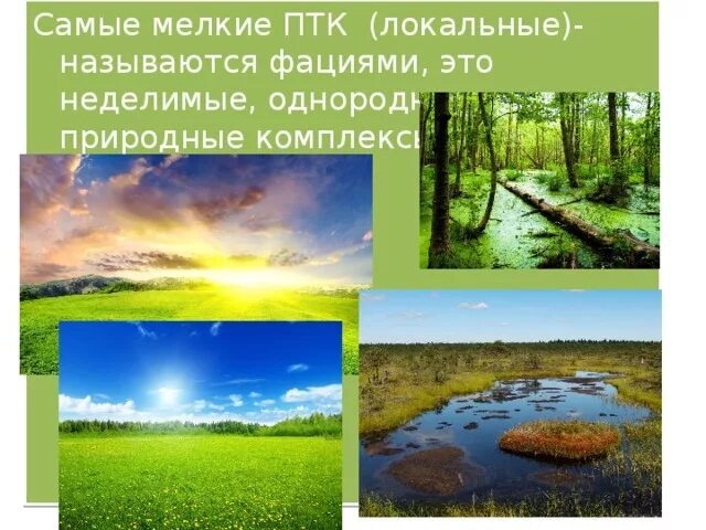 Локальные природные комплексы. Локальные ПТК. Локальный уровень ПТК. Природно-территориальный комплекс локальный. Природный комплекс локального уровня