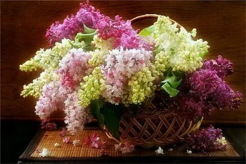 Цвети и пахни