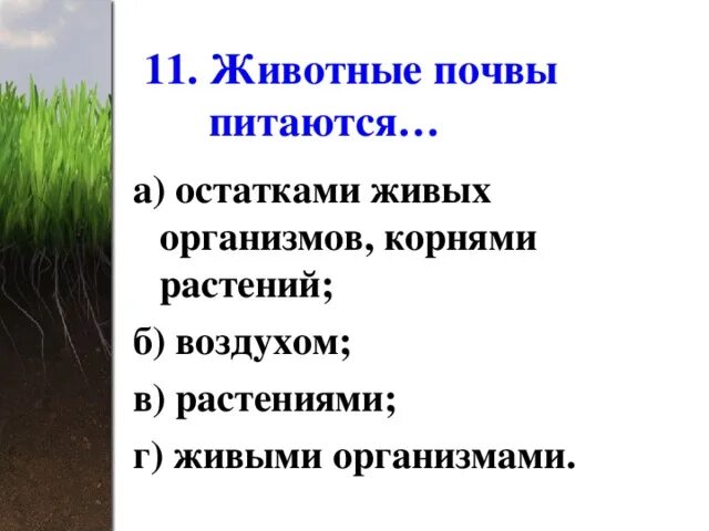 Чем питаются почвенные животные 5