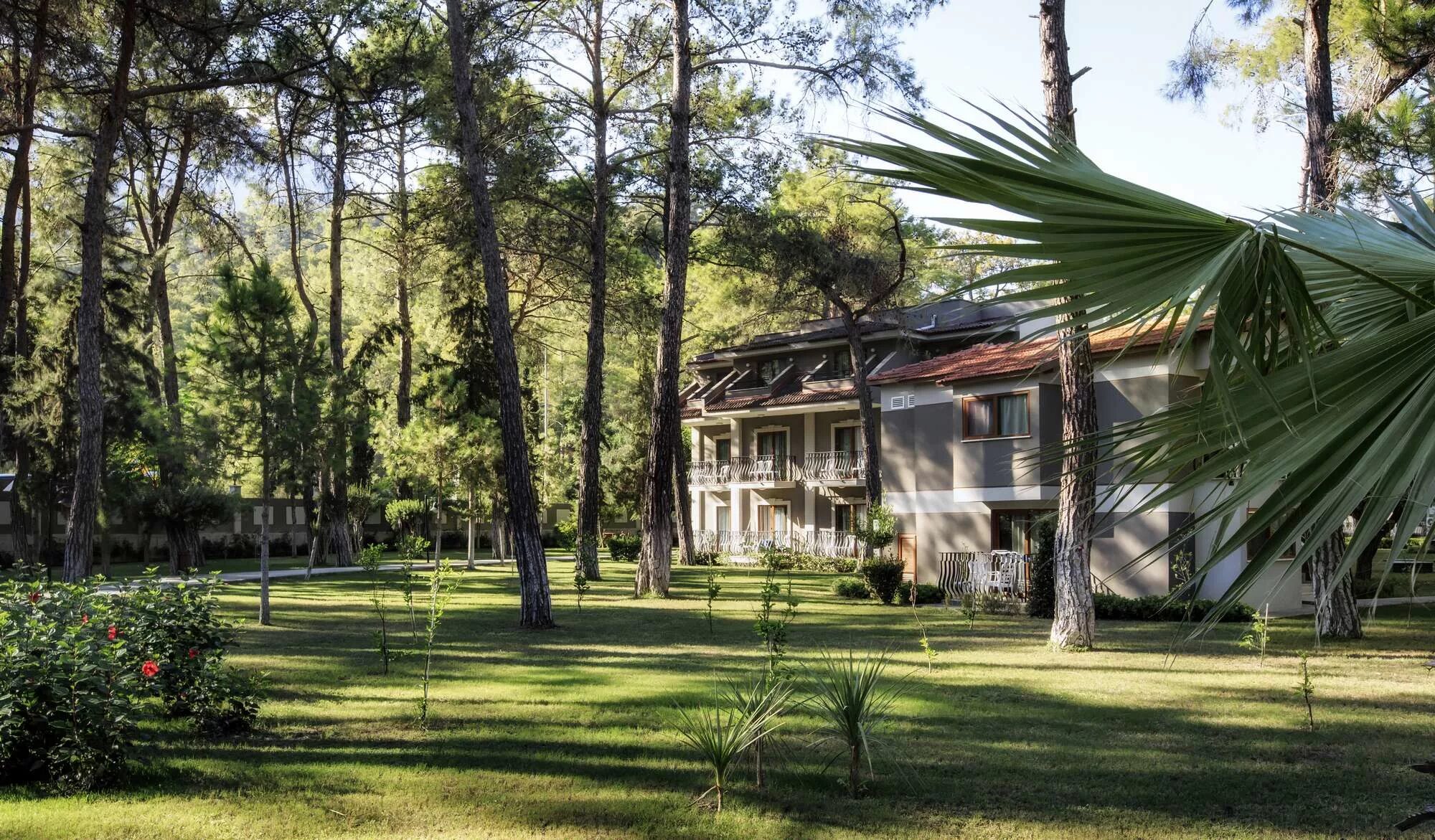 Турция кемер отель кимерос парк. Kimeros park 5 кемер. Kemeros park hotel holiday village 5. Отель кемерос парк в турции. Кимерос парк холидей виладж 5.