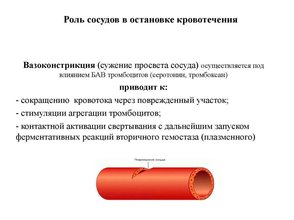 Сужение кровеносных сосудов. Сужение и расширение сосудов. Причины сужения сосудов. Расширение сужение кровеносных сосудов кожи