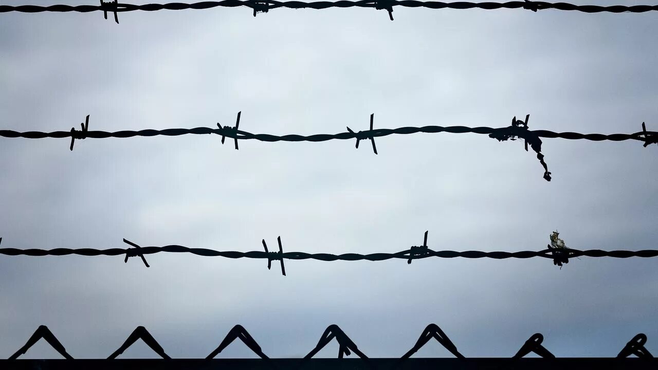 Колючая проволока на темном фоне. Колючая проволока фон. Колючая проволока мс12. Колючая проволока черно белая. Колючая проволока эстетика.