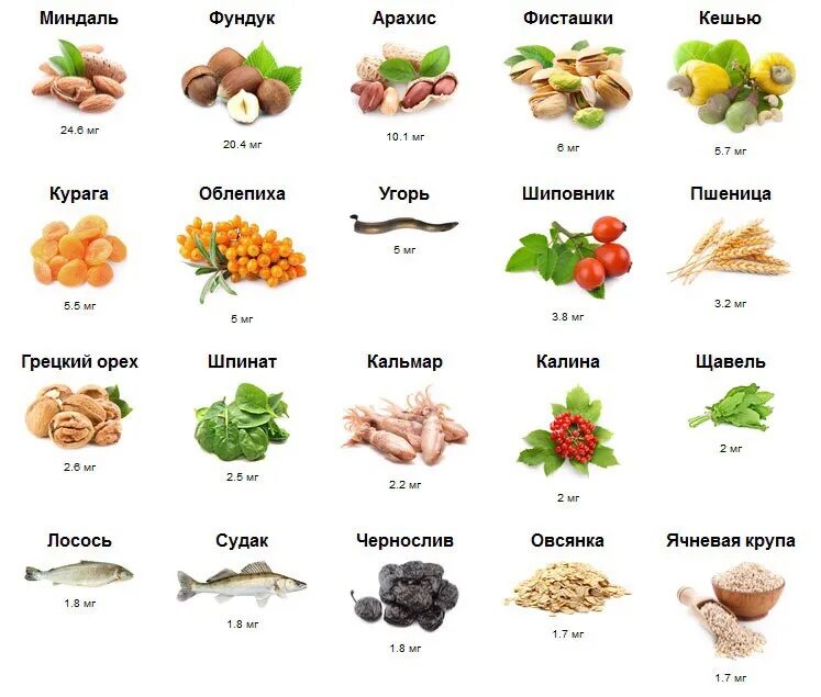 Витамин е содержится в продуктах. Этикетки продуктов с пищевыми добавками. Бренды продуктов питания. Пищевые добавки. Химические добавки в пищу.