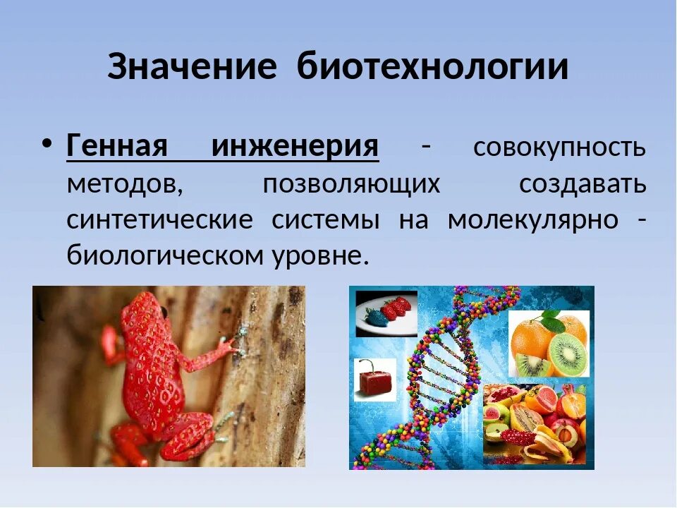 Биотехнология клеточная и генная. Генная инженерия. Биотехнология генетическая инженерия. Генная инженерия человека. Значение генной инженерии.