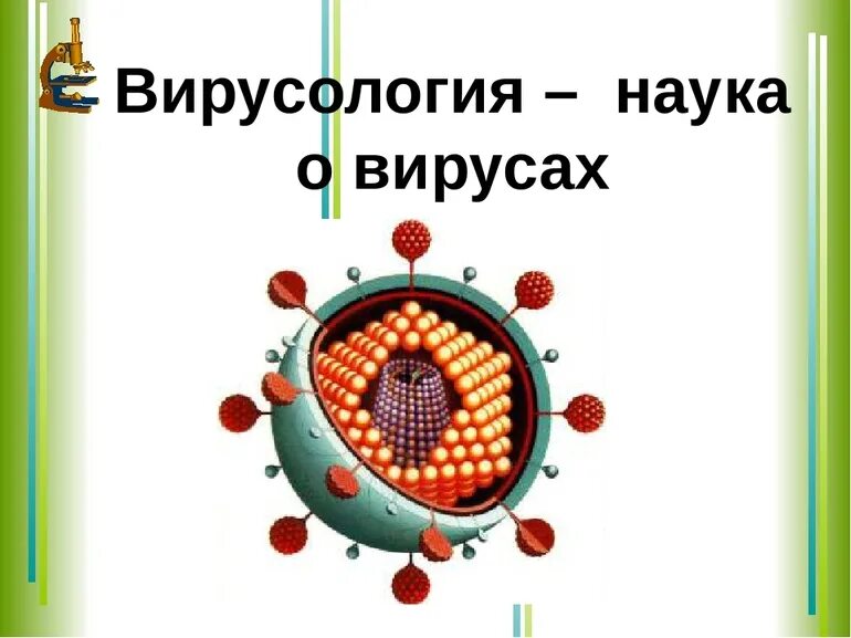 Наука изучающая вирусы. Вирусология вирусы. Вирусология это наука. Вирусология наука о вирусах. Вирусология это в биологии.