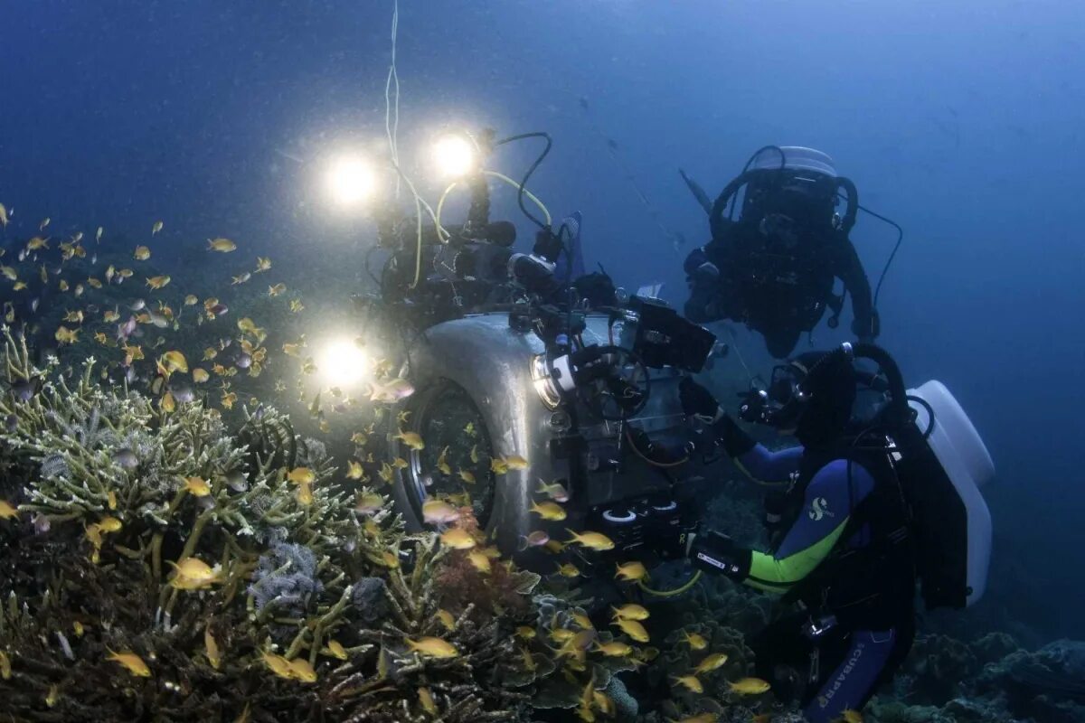 Чудеса морских глубин. Исследование морских глубин. Исследование океана. Исследователи океана. Океаны изучения 3