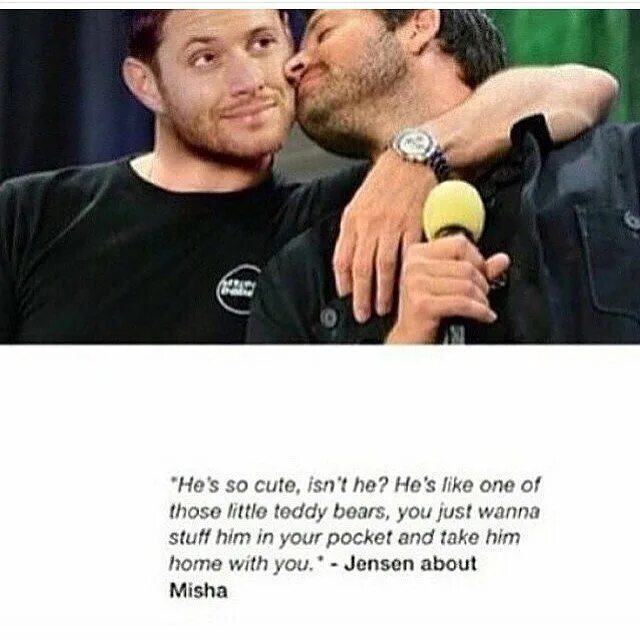 Csi мем с увеличением. What is he like и what does he look like разница. What does he she look like. What does she look like. Внешность на английском языке.