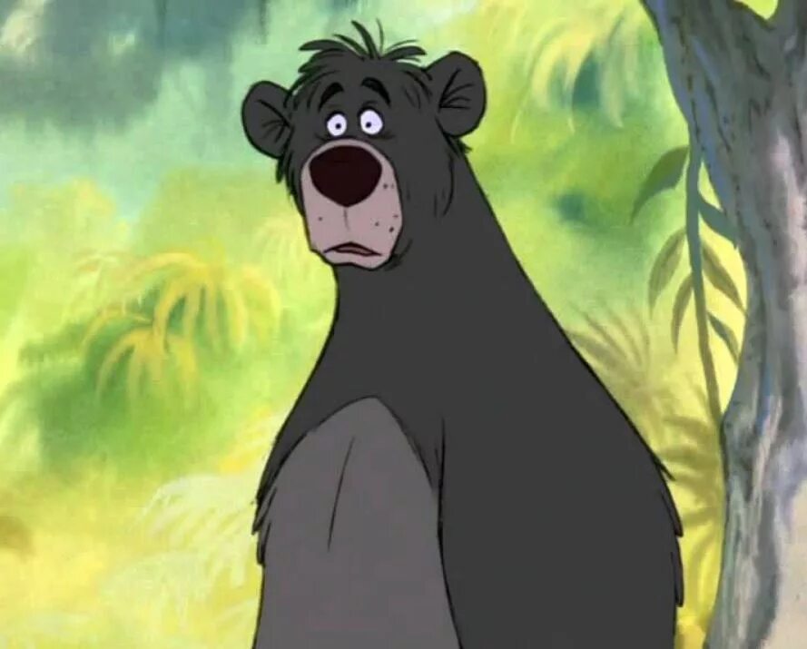 Балу из маугли дисней. Книга джунглей балу. Балу маугли. Балу медведь мультфильм маугли. Как выглядит балу.