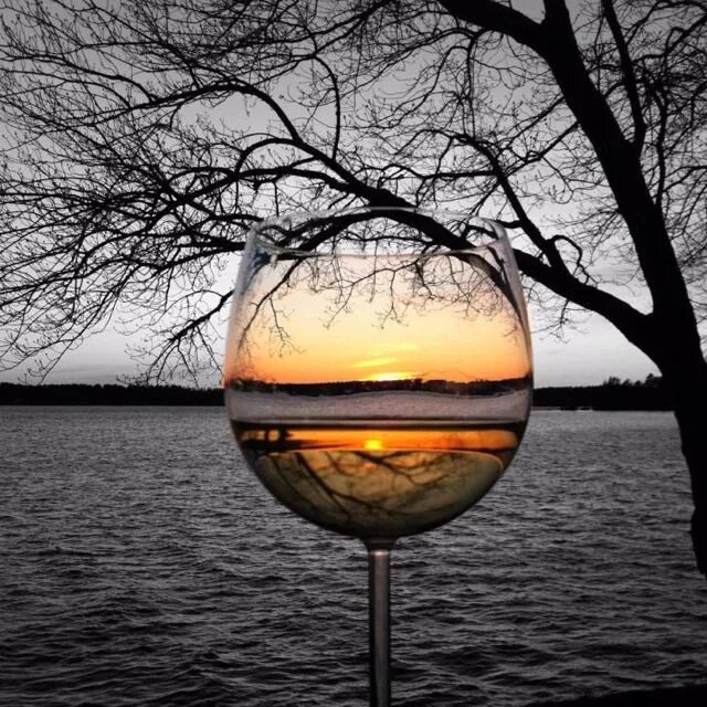 Отражение в бокале. Солнце в бокале. Отражение в бокале вина. Бокал вина на солнце.