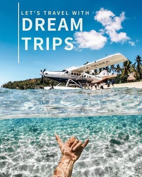 The dream trip is. The dream trip is. The dream trip is. The dream trip is. The dream trip is.