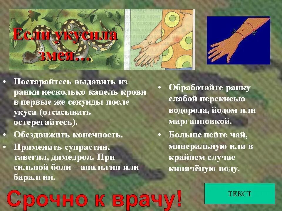 1 помощь при укусе змей. Укусы змей первая помощь. первая помощь при укусах. укусы ядовитых змей и насекомых первая помощь.