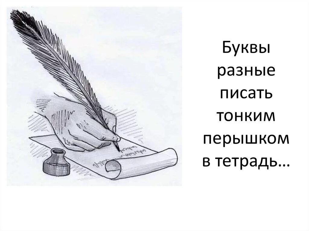 Тонким пёрышком в тетрадь. Перышко писать. Буквы разные писать. Буквы перышком в тетрадь. Тонким перышком в тетрадь учат в школе