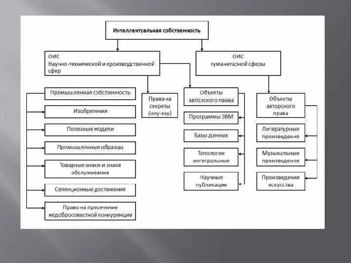 Виды юридической практики схема. Структура юридической практики схема. Юридическая практика типы ТГП. Юридическая практика понятие структура виды. Какова роль в юридической практике