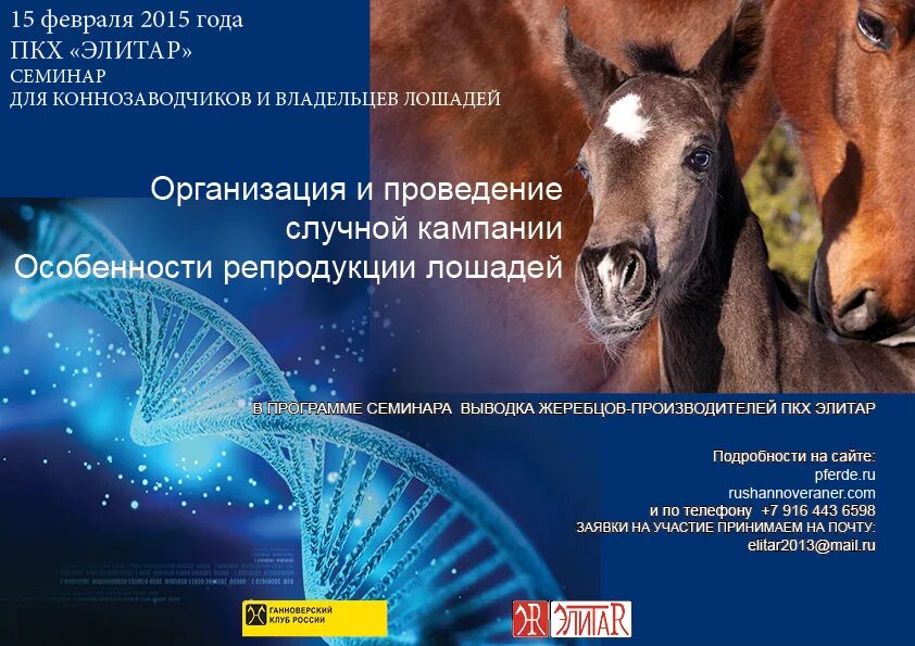 Программа лошадка. Компьютерные вирусы троянские программы. Коне программа. Центральный московский ипподром лошади. Троянская программа.