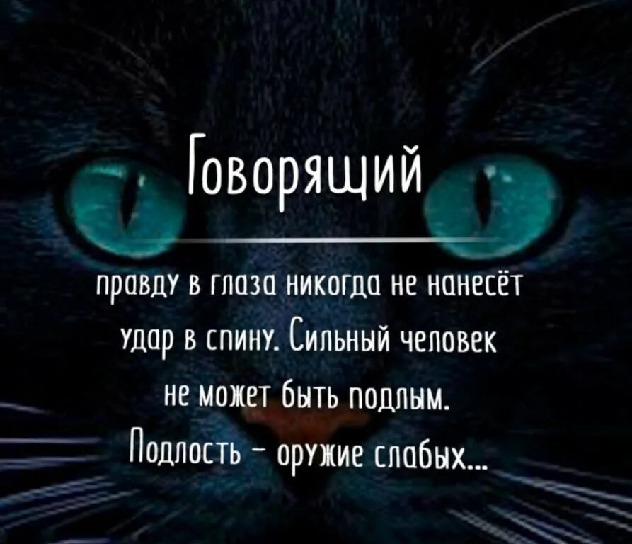 Лучше скрывать правду. Говорящий правду в глаза никогда не нанесет удар в спину. Говорящий правду в глаза. Подлость оружие слабых. Говорящий правду в глаза никогда.