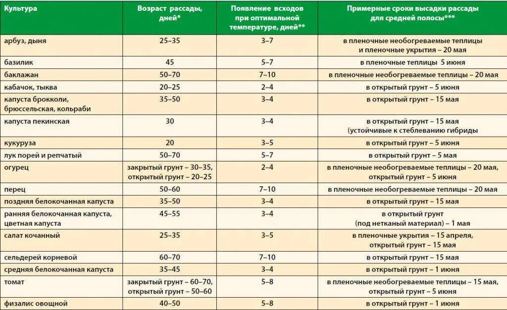 Температура для рассады после всходов. Возраст рассады овощей для высадки в грунт таблица. Таблица сроков посева семян овощей на рассаду. Сроки высадки семян на рассаду таблица. Сроки высадки рассады в открытый грунт.